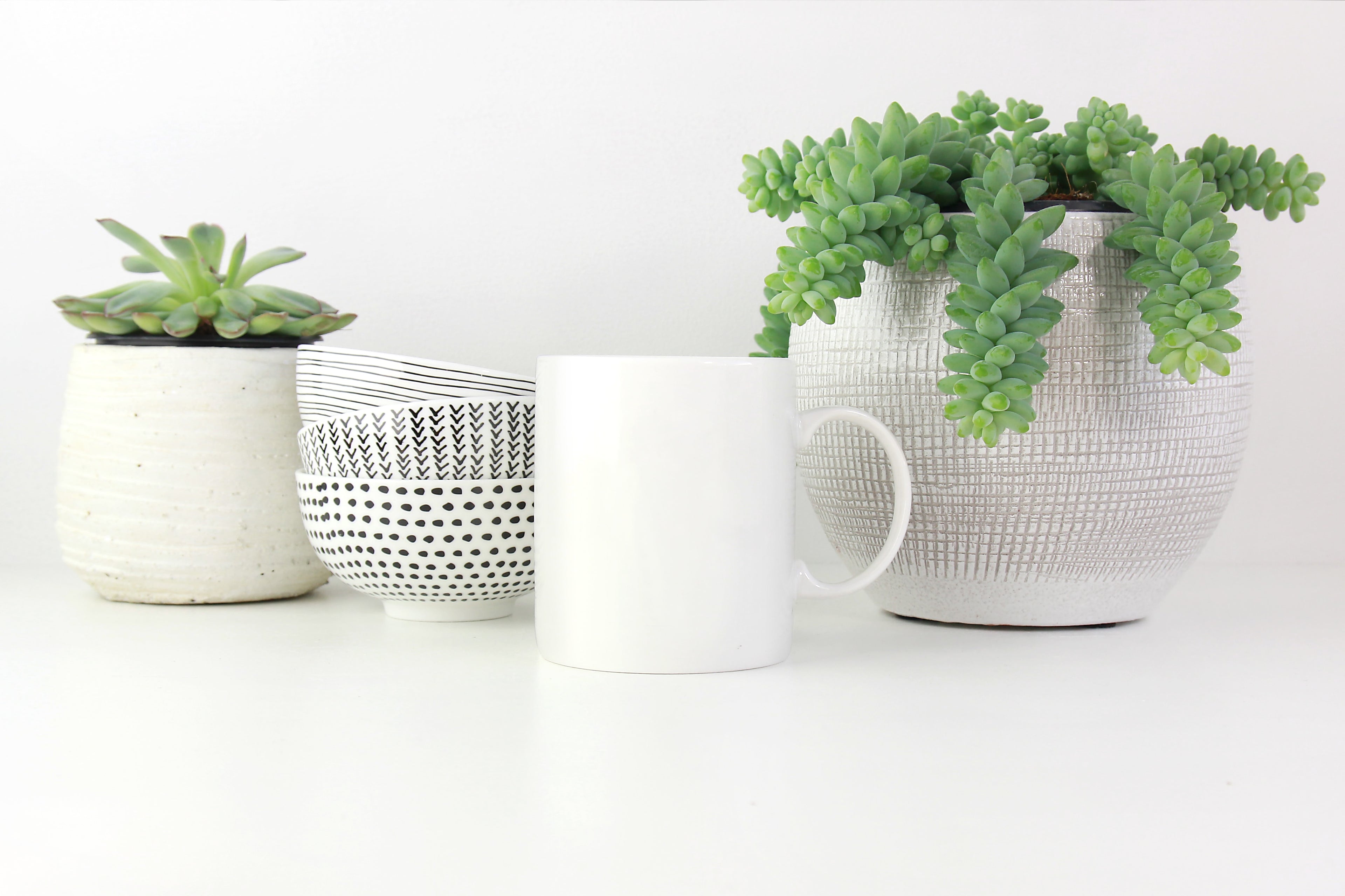 white mug and plants